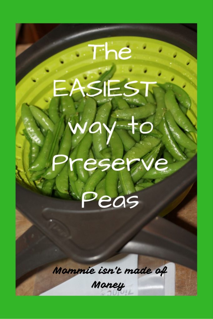 The Easiest Way To Preserve Peas Mommie Isn T Made Of Money